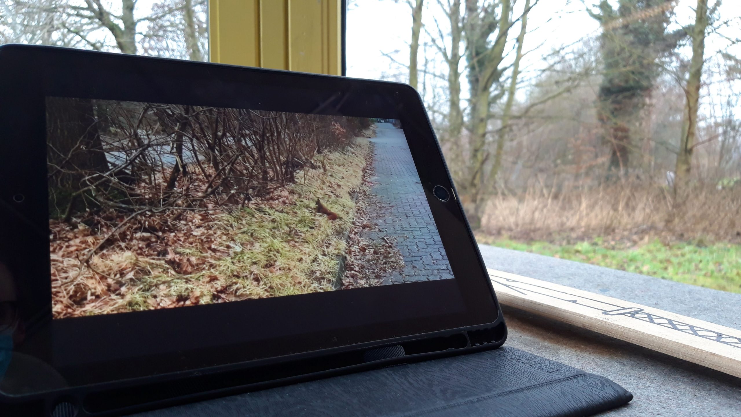 Sensibilisierung des Gehörs in Barsbüttel