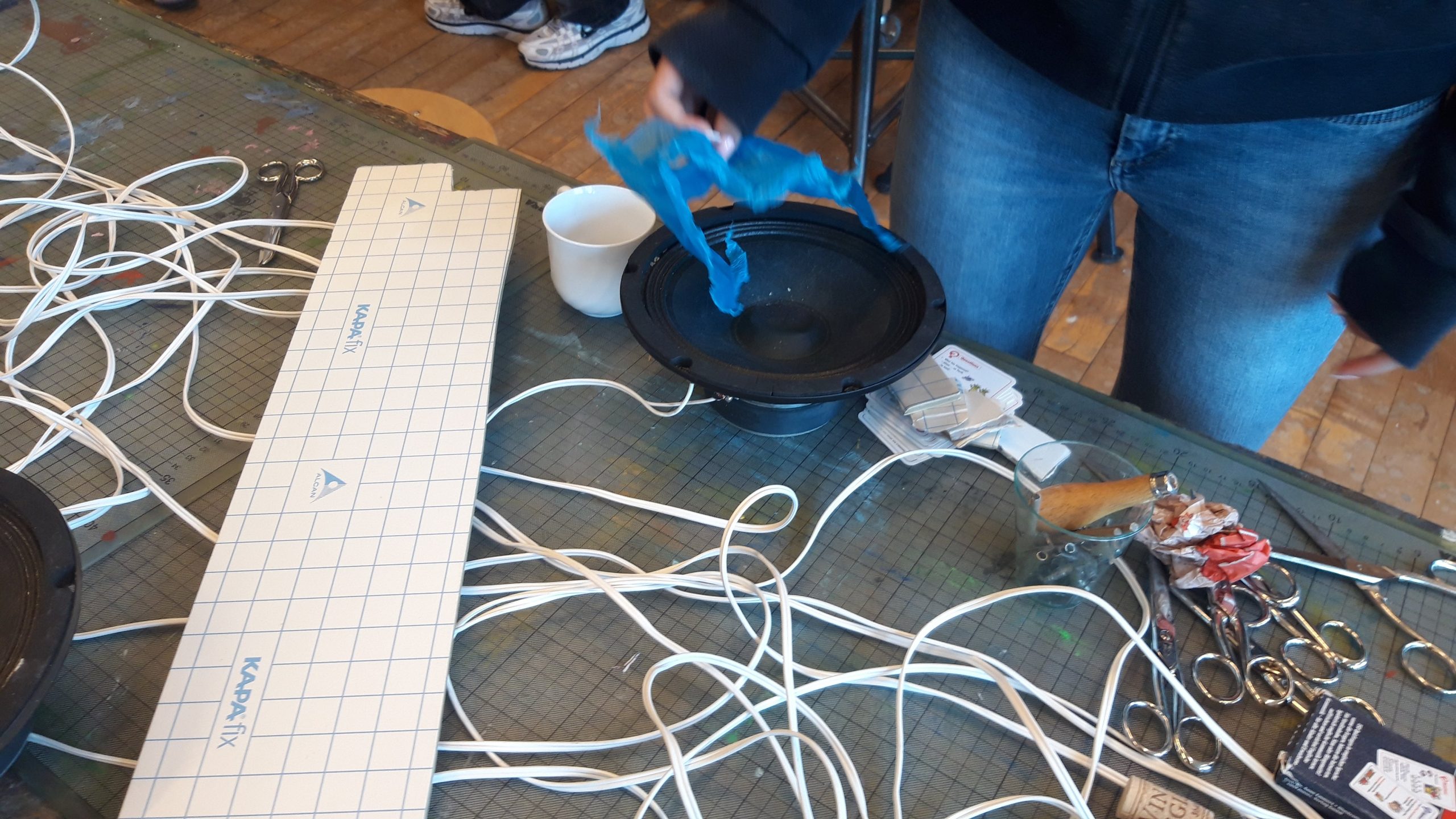 Sensibilisierung des Gehörs in Itzehoe