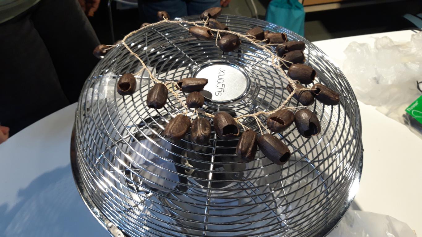 Workshop im PAK Glückstadt